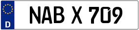 Trailer License Plate